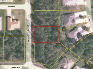 4 Ethan Allen Dr, Palm Coast, FL 32164