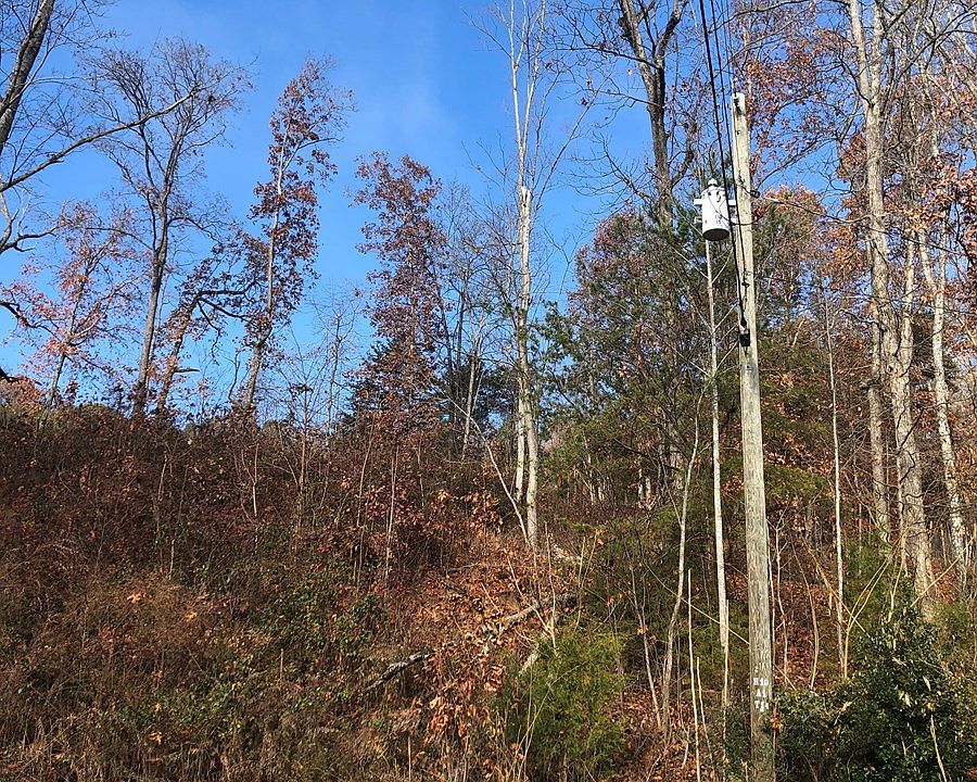 2nd image of 221 Austin Dr