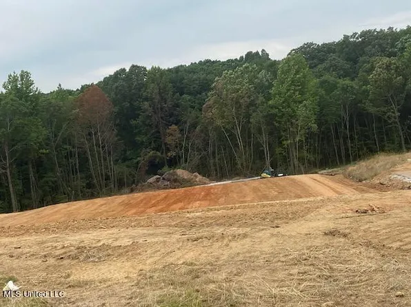 123 Byhalia Creek Farms Rd W #63, Byhalia, MS 38611