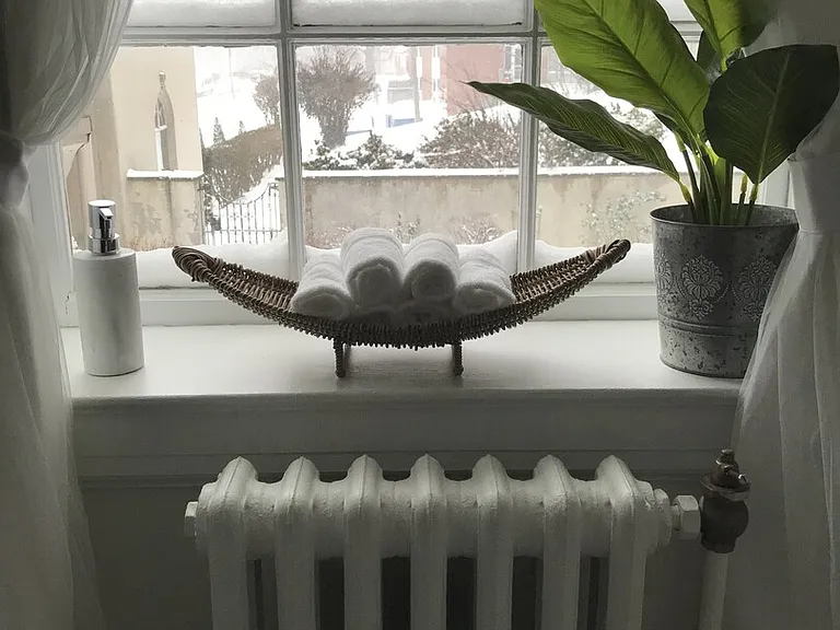 Maple St — Photo 10