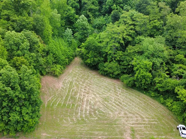 0 Love Branch Rd, Hampshire, TN 38461