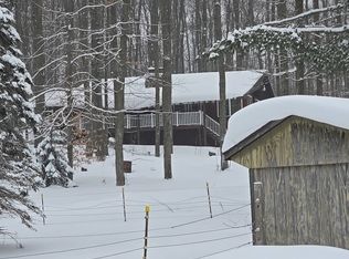 1259 W Sharon Rd SW, Fife Lake, MI 49633