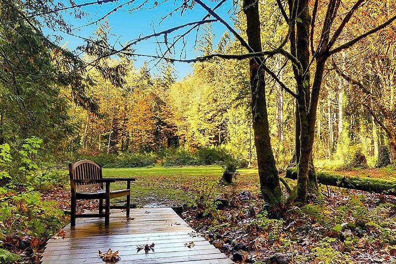 Dramatic, Surprising, Innovative Style