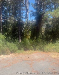 2905 Midland Ct, Fayetteville, NC, 28306