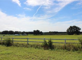 8028 Sergeant Pepper Dr, Howey In The Hills, FL 34737