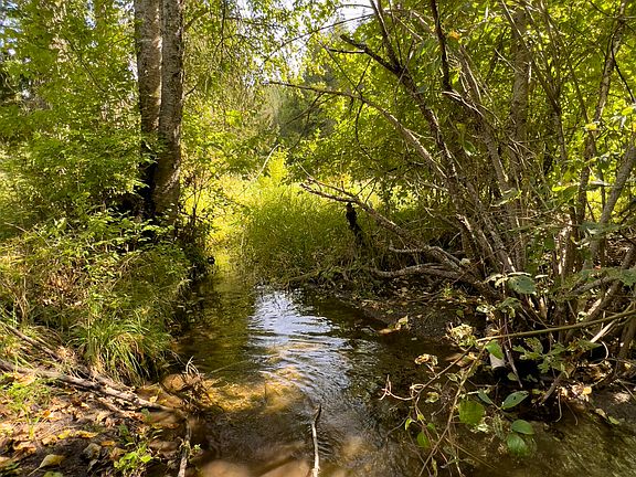 4th image of 1508 Dead Medicine Rd