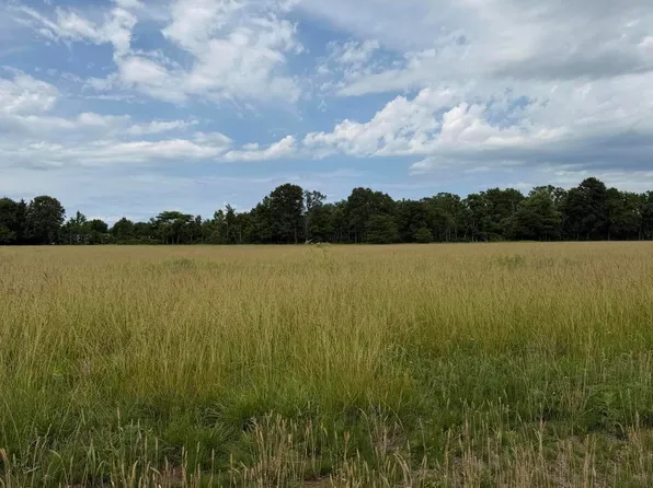 Tract 8 Oak Lawn Road, Seymour, MO 65746