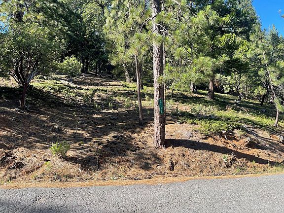 3rd image of 2112 Manzanita Dr