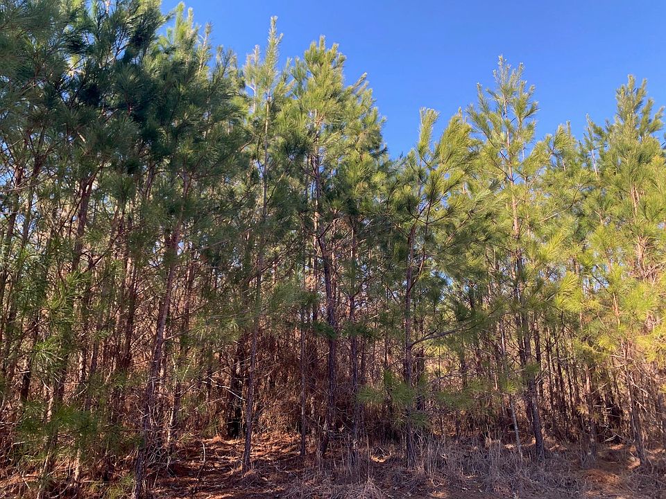 2nd image of Sandy Flatt Rd