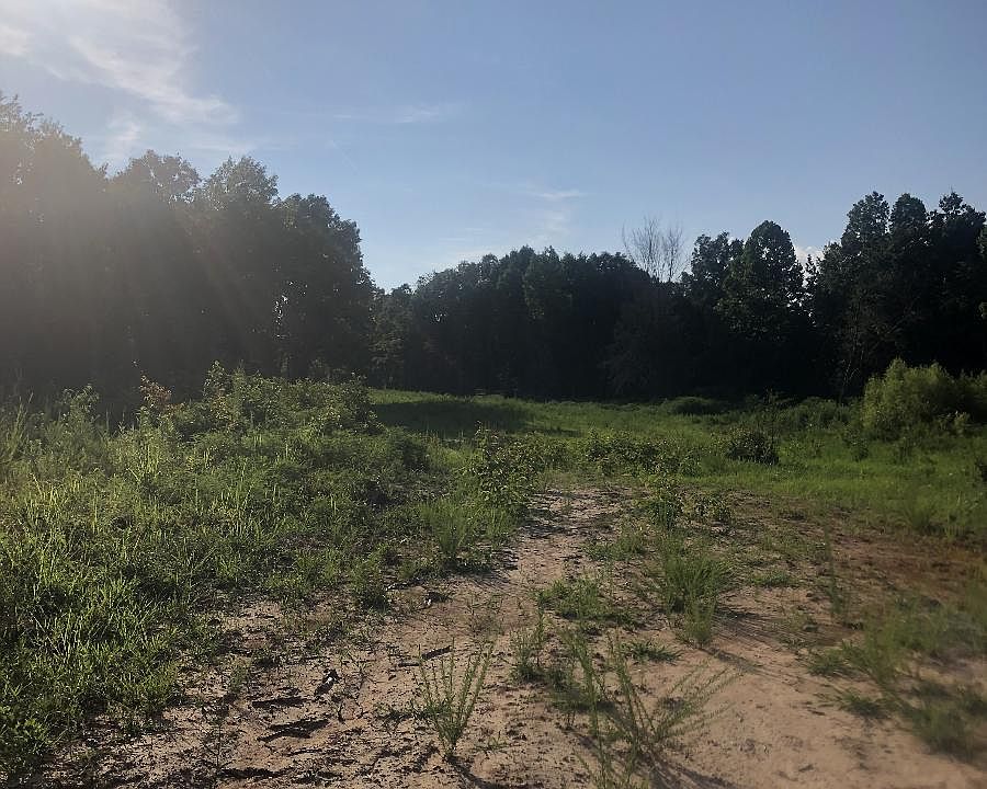 2nd image of Juba Rd