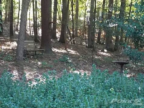 Wooded Retreat