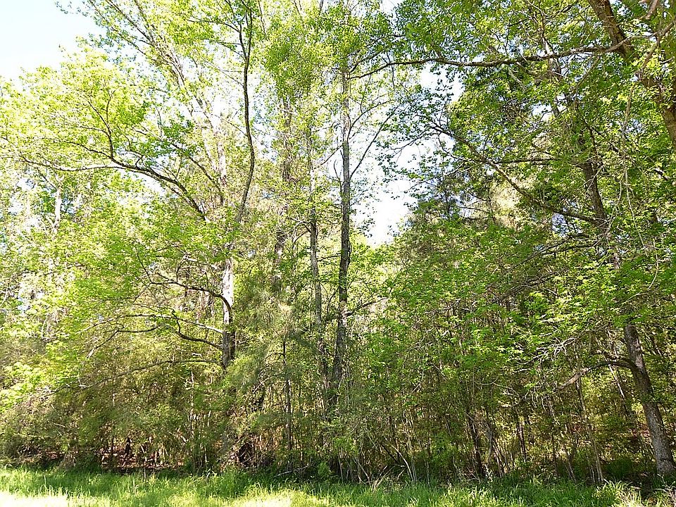 2nd image of Tbd La Hwy 967 #1