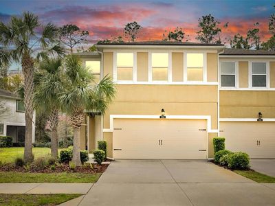 17850 Althea Blue Pl, Lutz, FL, 33558
