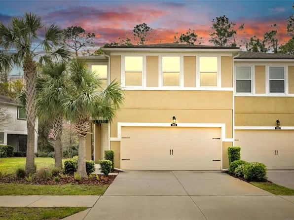 17850 Althea Blue Pl, Lutz, FL 33558