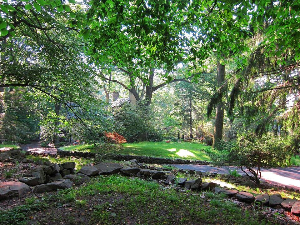 view from the yard