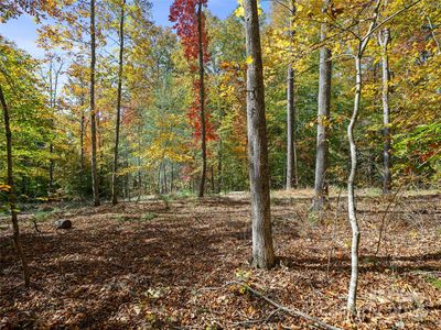 99999 Badger Trl, Weaverville, NC, 28787