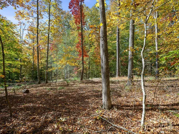 99999 Badger Trl, Weaverville, NC 28787