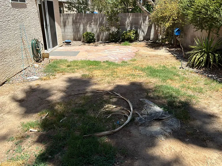 8378 Lexford St — Photo 24