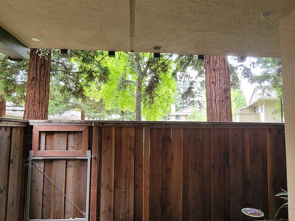 Kitchen window view