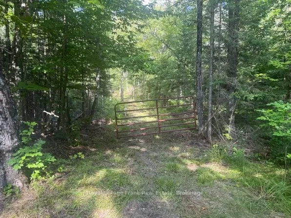 905 & 841 N McKenzie Lake Rd, South Algonquin, ON K0L 2K0