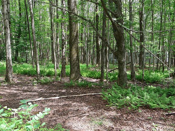 4th image of 7401 Millbrook Road
