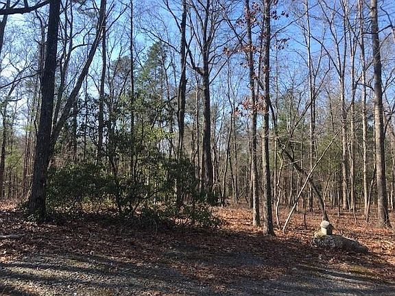 3rd image of 10 Creek Trl Lot 10