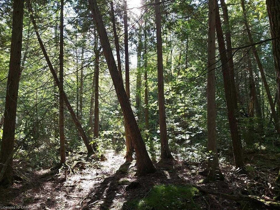 2nd image of 35 Rockhaven Cres