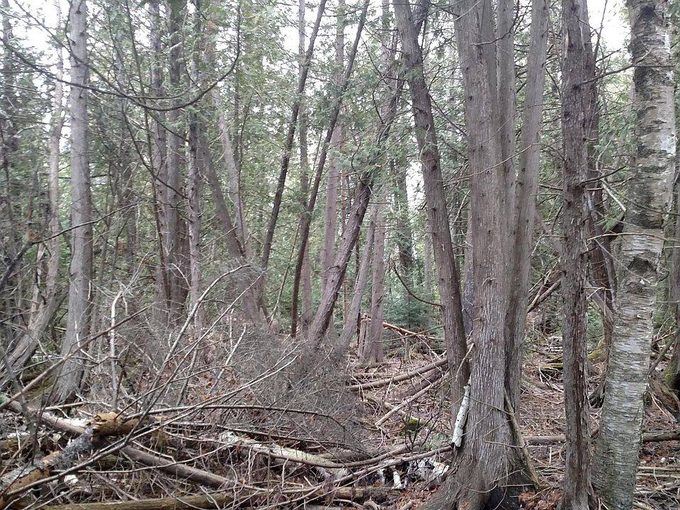 2nd image of McDonald Rd