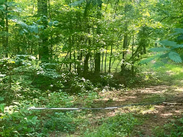 11810 County Road 9, West Blocton, AL 35184