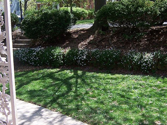 View from front door