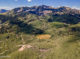 5397 N Pinecone Rd, Midway, UT 84049