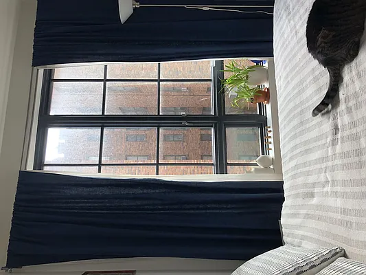 Rented by Manhattan Management LLC | media 9