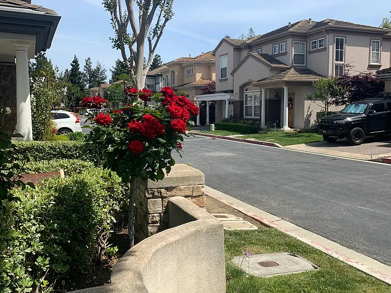 Cul-de-sac street