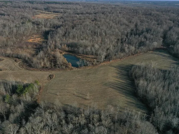 3975 Bethlehem Church Rd, Wickliffe, KY 42087