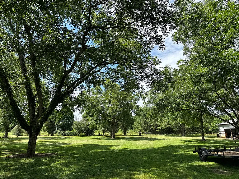 1 acre fenced in backyard area includes; kids ninja course hanging between two trees, a barn, 2 sheds. One shed prepped to be home office or school room.