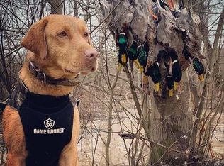 6500 Getwell Rd S, Hernando, MS 38632