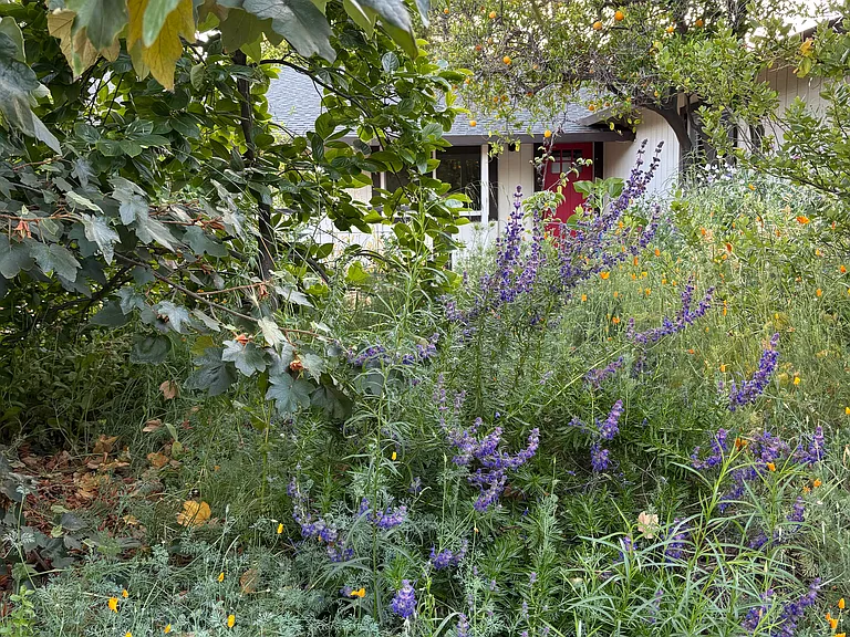 1105 Cabot St — Photo 5
