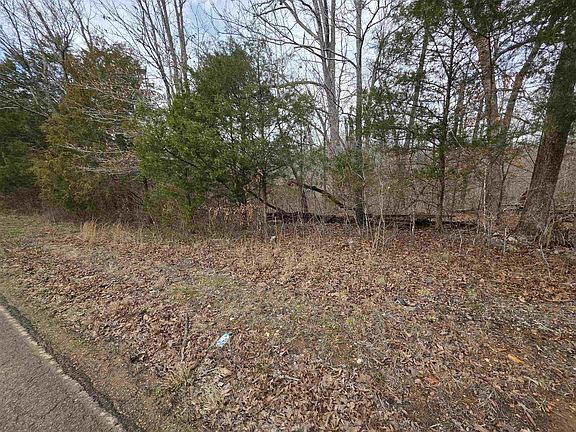 2nd image of L16-B3 S Summit Ridge Dr