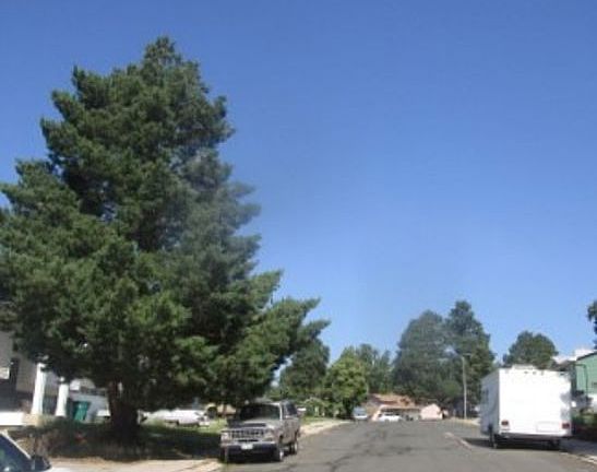 Exterior Neighborhood (street photo)