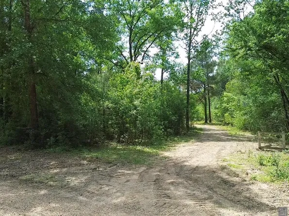 TRACT 2 Bryce Hyde Rd #C, Roseland, LA 70456