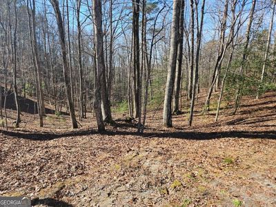 LOT 1405 Malory Cir, Ellijay, GA, 30540