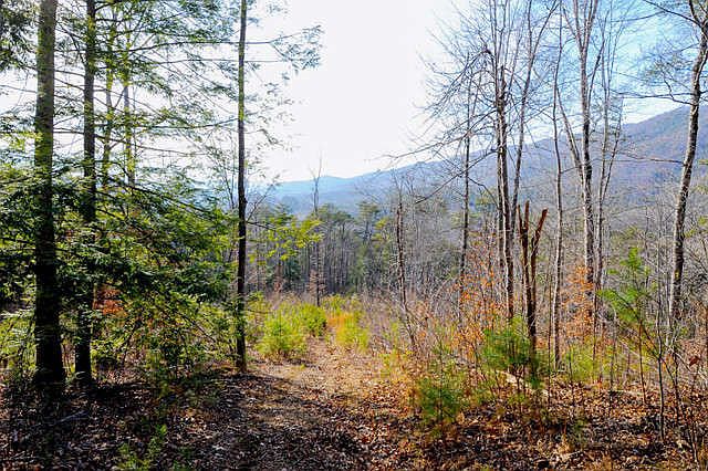 1st image of Old Walland Hwy