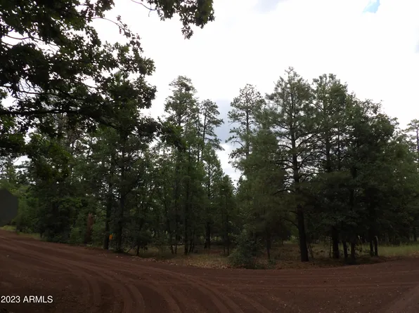 1597 Turkey Mountain Road #61, Happy Jack, AZ 86024