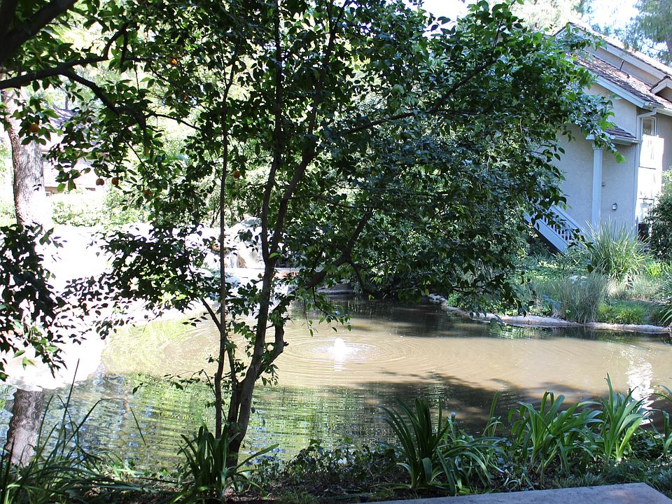 View from patio