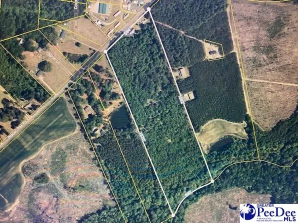 5238 Pepper Tree Rd, Florence, SC 29506