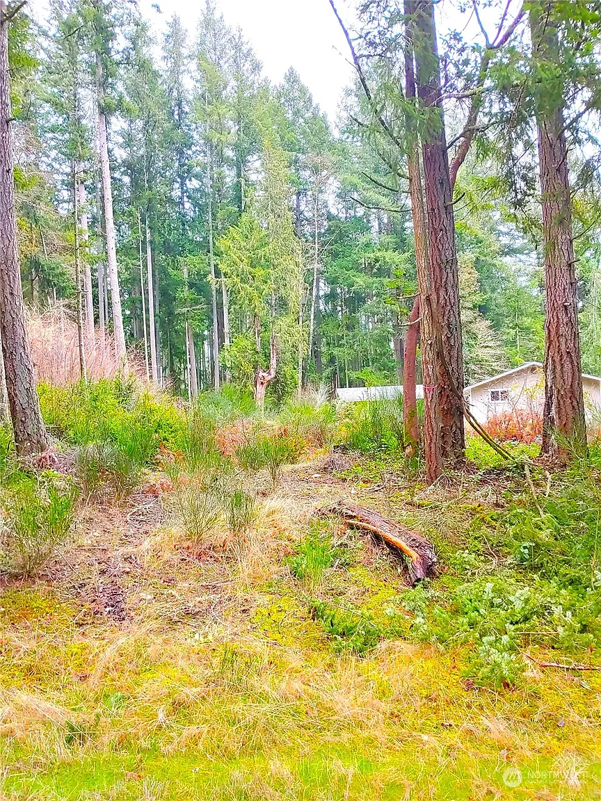 12019 113th Avenue photo 1