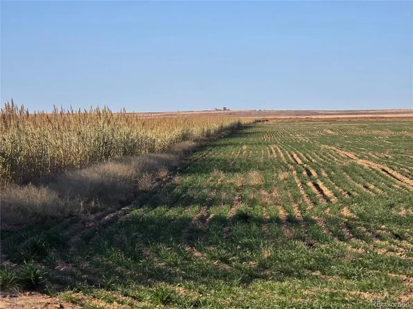 0 CR K, Haswell, CO 81045