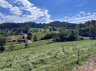 11 N Turkey Creek Rd, Leicester, NC 28748