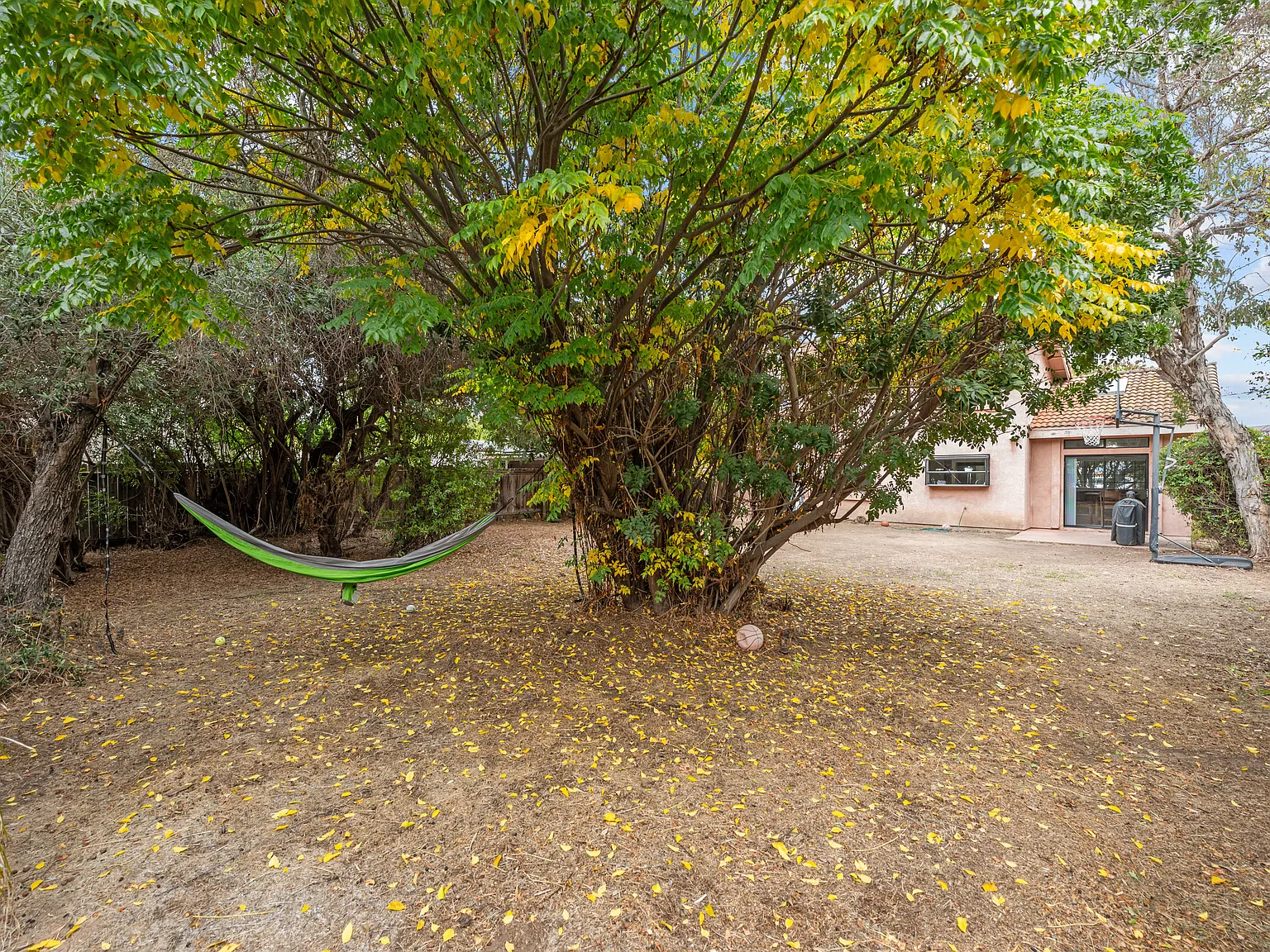 5 bed, 3.5 bath, 1878 sqft, $6,700 — Photo 4