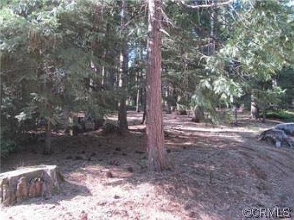 5th image of 26640 Sugar Pine Dr